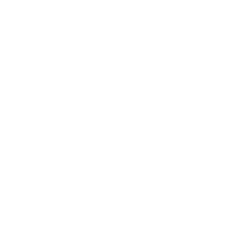 Record MG